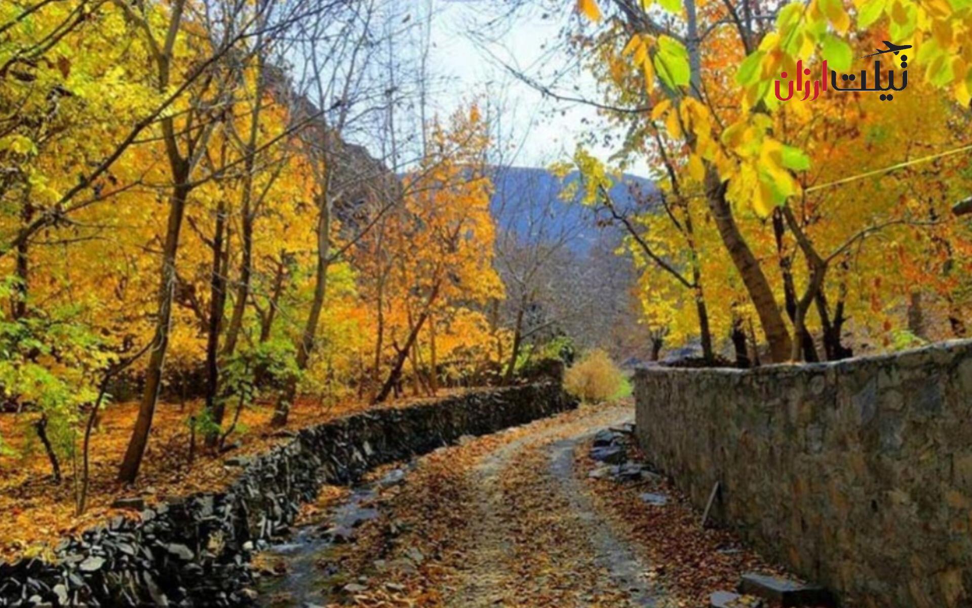 Vakil Abad Forest Park