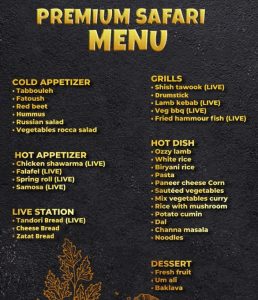 Dubai Offroad Safari