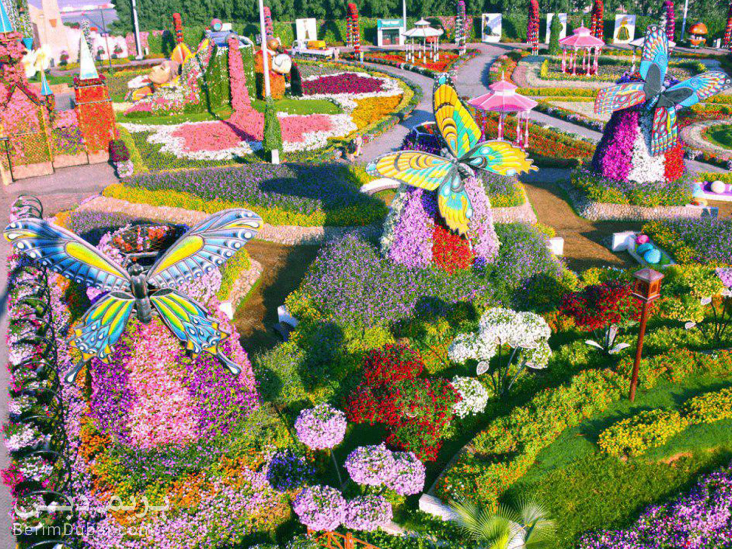 Dubai Flower Garden