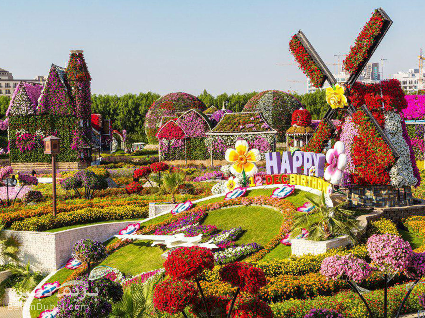 Dubai Flower Garden
