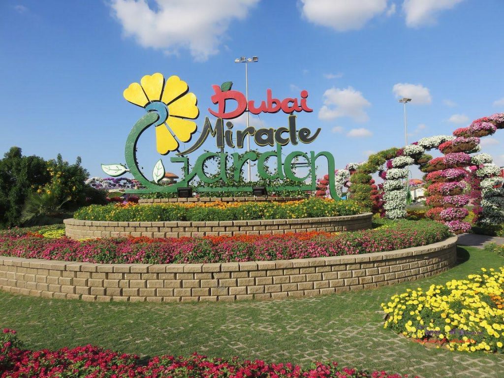 Dubai flower garden