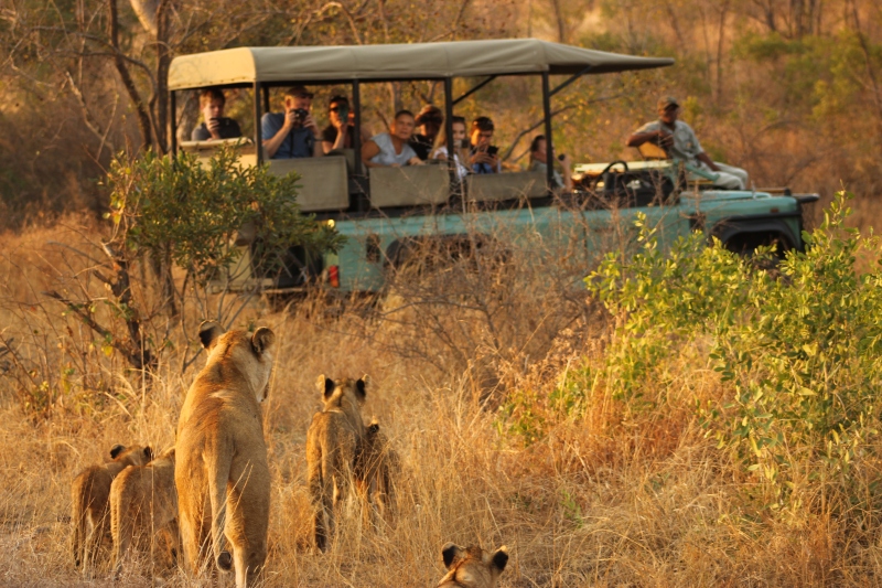 Kruger National Park in South Africa; Photo source: lukimbi.com. Photographer: Unknown