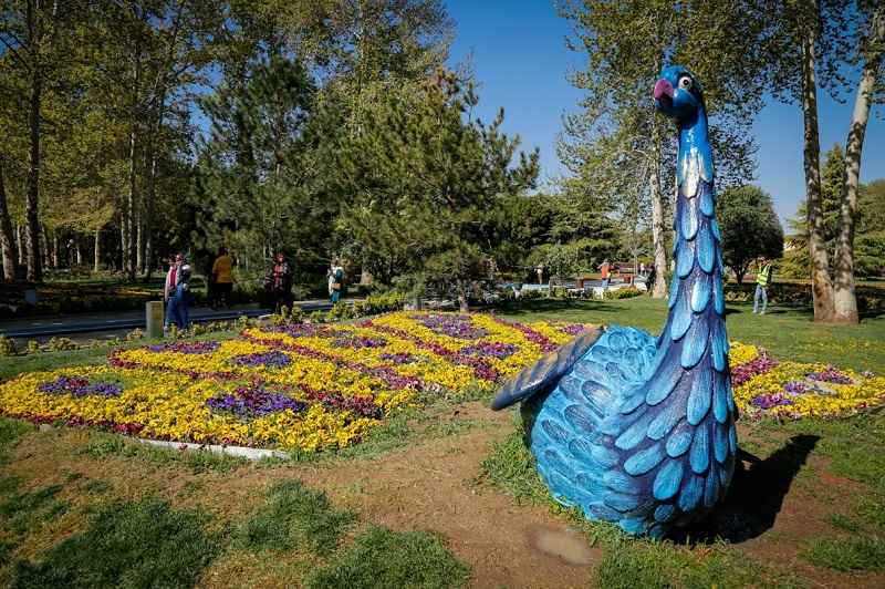 The nature of Isfahan's flower garden. Photo source: Google Map. Photographer: Mohammad Reza Yagoubi Shawaki