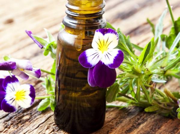 The properties of violet oil in the nose of children