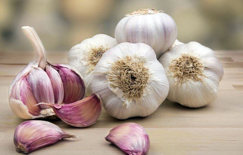 Immediate treatment of cold with garlic