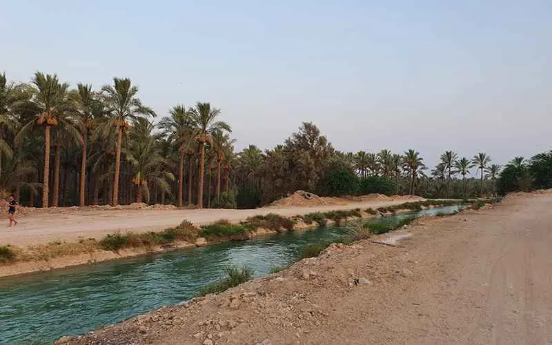 Nature of watering groves, photo source: Google Maps, photographer: H Bassiri