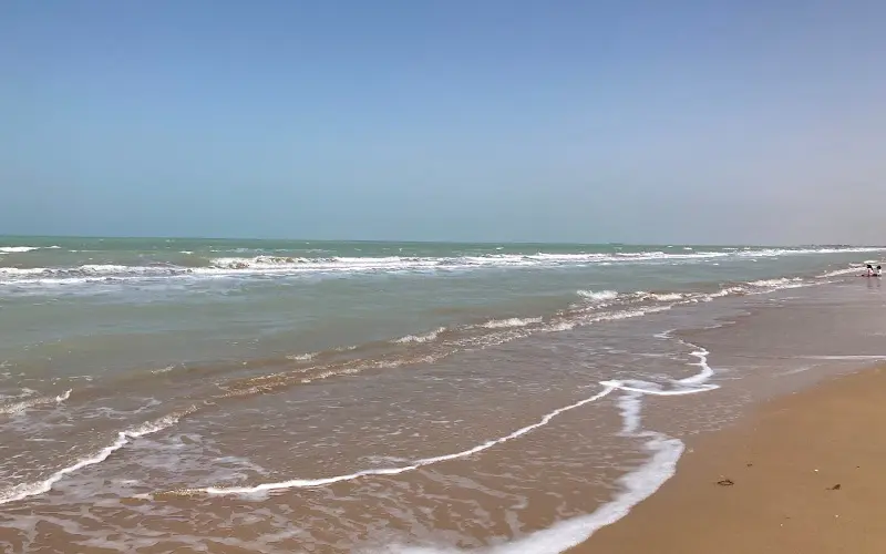 Delaram Bushehr beach in the Persian Gulf, photo source: Google Map, photographer: Fahime Tardest