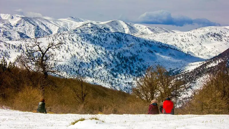 Snow in the cloud forest of Shahrood; Photo source: Google Maps, photographer: Abbas Yousefshahi