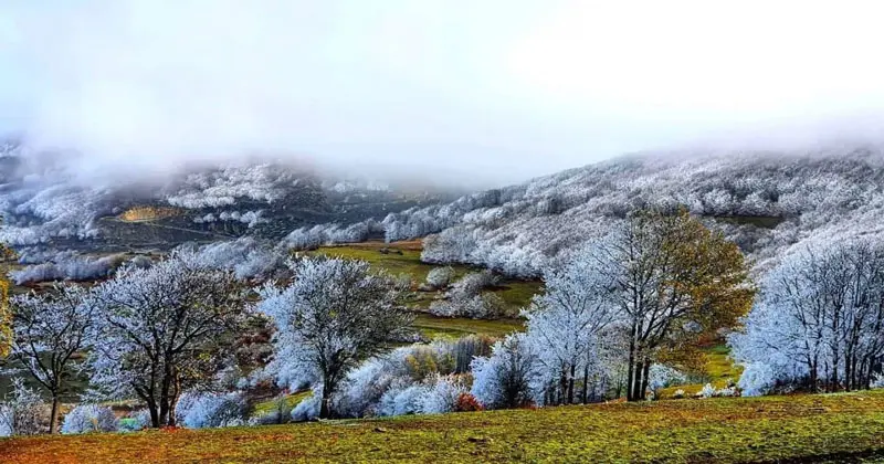 winter snow in Arsbaran region; Photo source: Sanajou, photographer: Mehdi Talebpour
