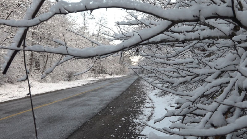 Snowy road through the forests of Tuskistan; Photo source: Young Journalists Club, photographer: unknown
