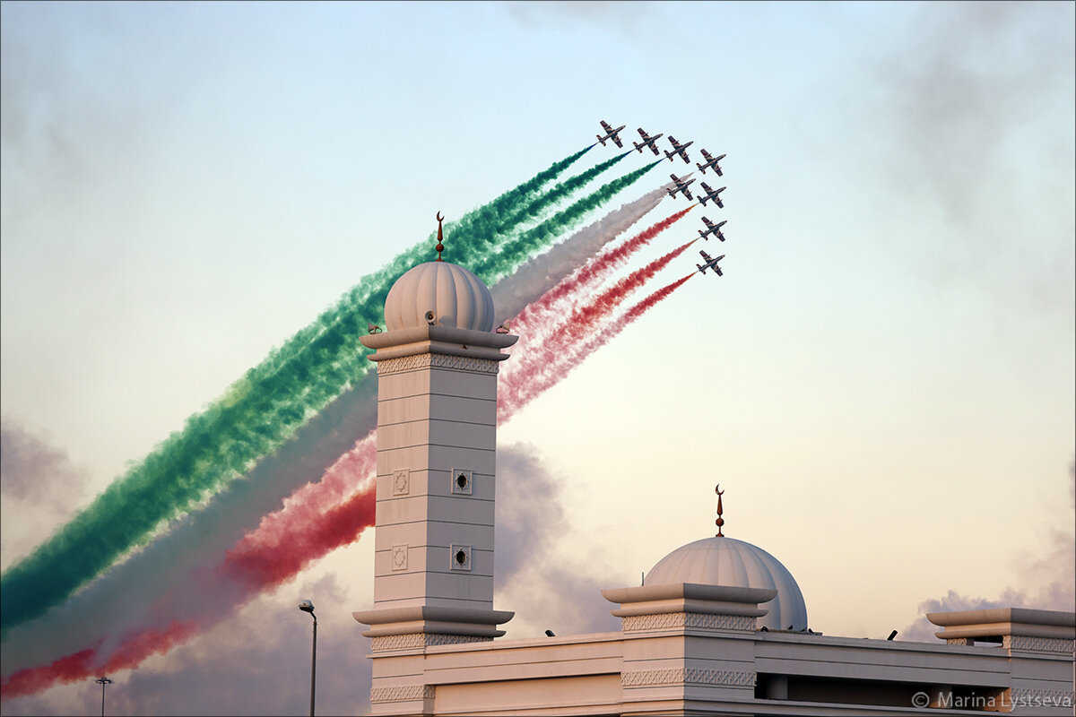 Dubai Air Show 3 Dubai Air Show 10