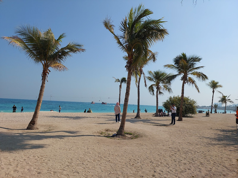 The beach of the palm trees of Kish. Source: Google Map; Photographer: Content Center