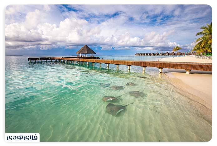 Travel to the Maldives