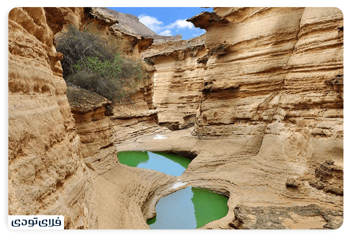 Where is Chahkouh Qeshm gorge?