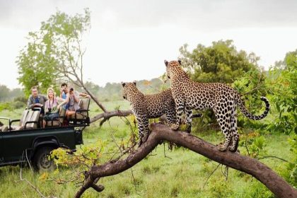 Kruger National Park reportage; Opportunity to camp in South African wildlife