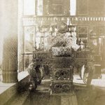 Peacock bed Photo by Luigi Pesha