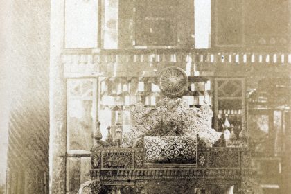 Peacock bed Photo by Luigi Pesha