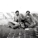 Photo of a domestic tiger in the Qajar period