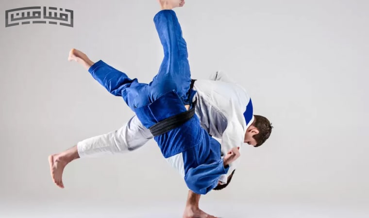 Judo Bodybuilding Program