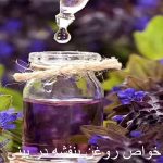 The properties of violet oil in the nose