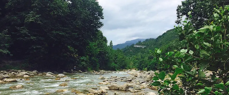 Dalkhani Forest River. Photographer: Mahshid Hosseini