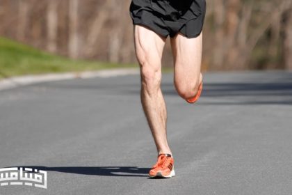 Anatomy of the quadriceps