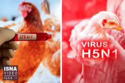 Video/ What will be the biggest disease of 2025?