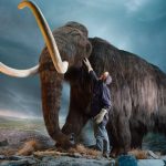 Video/ return mammoths to the ground