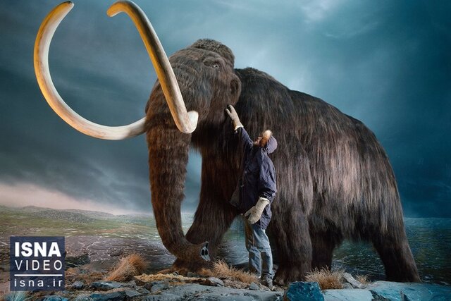Video/ return mammoths to the ground