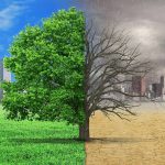 Video/ year 2024; The alarm of climate change has sounded