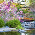 Visiting Japanese gardens this spring: art and nature in one frame
