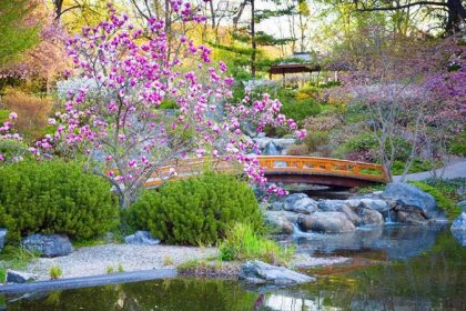 Visiting Japanese gardens this spring: art and nature in one frame