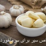 Properties of garlic for colds
