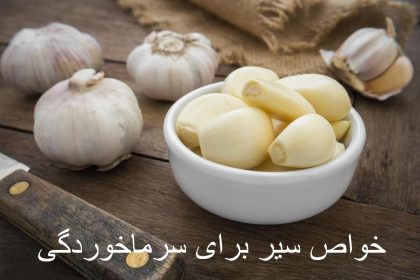 Properties of garlic for colds