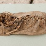 The oldest known shoe in the world, discovered in a cave in Armenia; Photo source: National Geographic; Photographer name: Gregory Areshian