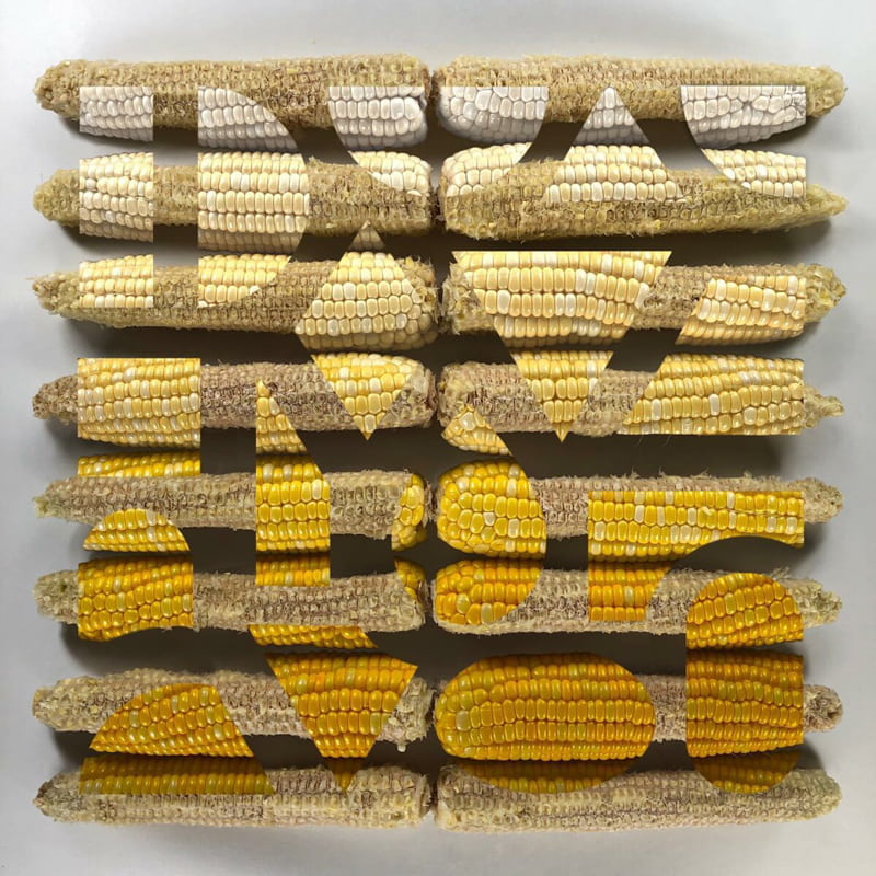 The artistic arrangement of corn