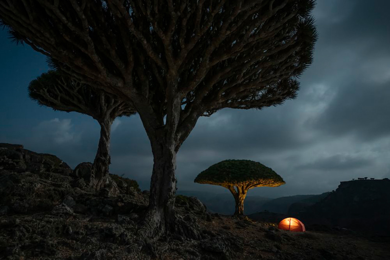 An island with strange trees; Photographer: Marsel Van Oopen from the Netherlands