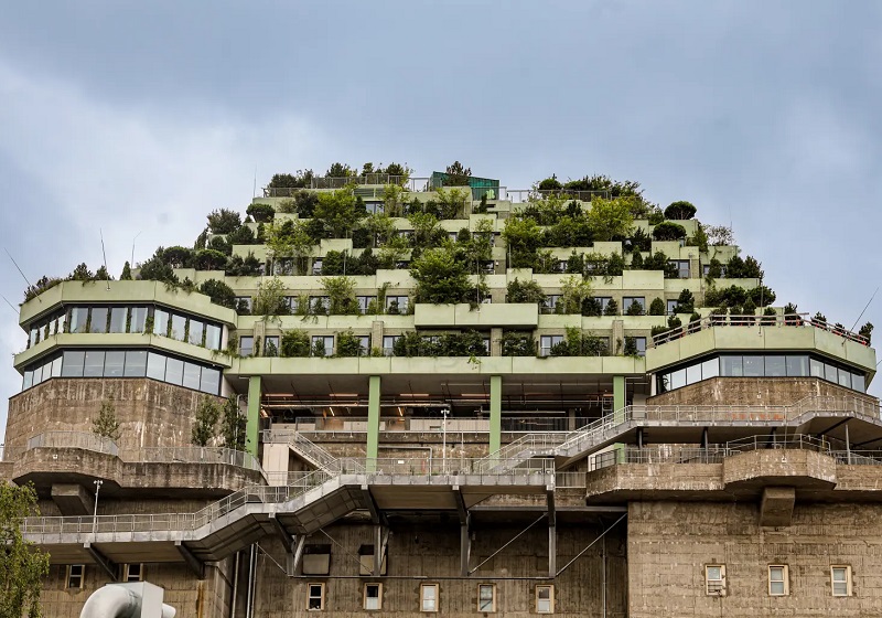 Green Ivan of St. Pauli Hotel; Photo Source: nypost.com; Photographer: Unknown