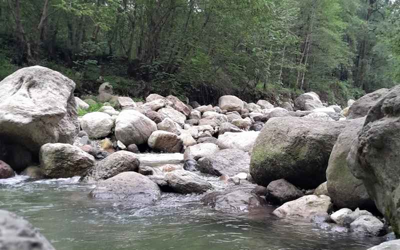 Tilakaran Forest River, Photo Source: Google Map, Photographer: Ali Alvandi