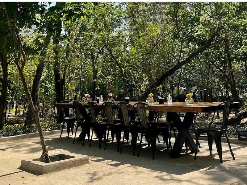 Open space cafe root 29; Photo Source: Cafeyab.com. Photographer: Unknown