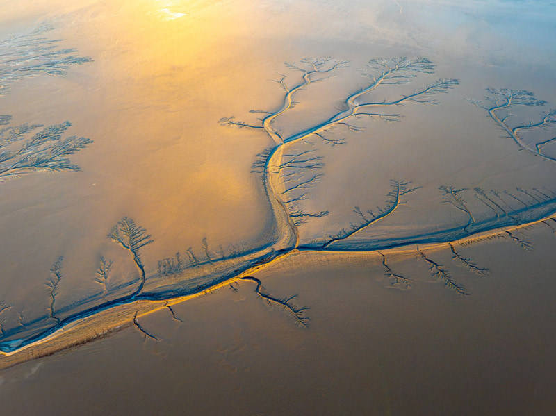 Aerial Photo of Giant Tree Patterns on the qiantang River in Hangzhou, China; Photo Source: Theguardian; Photographer's name: Unknown 