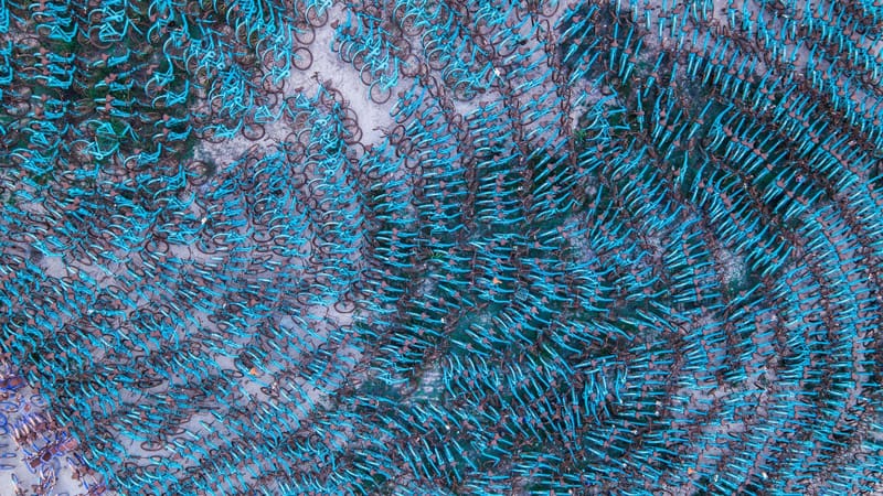 Bicycles that have been parked illegally in the area; Photographer: Unknown