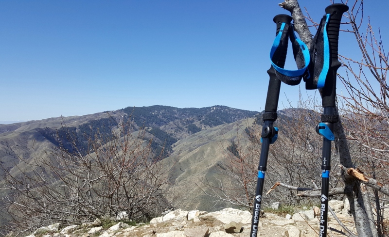 Black Diamond brand mountaineering baton; Photo Source: ThebigoutSide.com. Photographer: Unknown