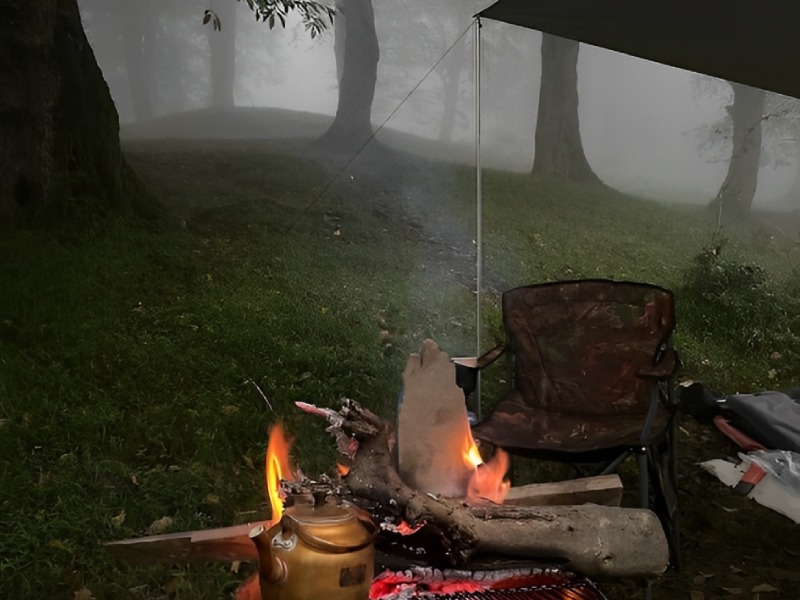 Camping in Dalkhani Forest. Source: Google Map; Photographer: Mehdi abbasghorbani