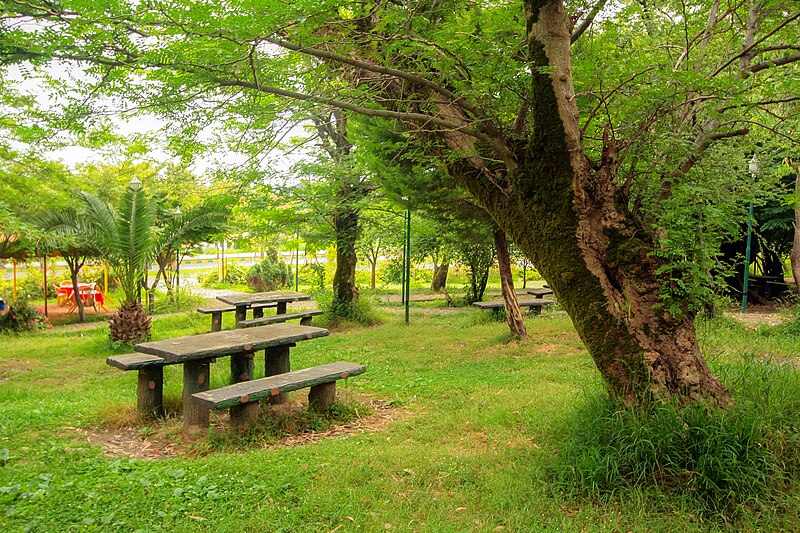 Salt Abrood Forest Park. Source: Wiki Media; Photographer: Mostafameraji