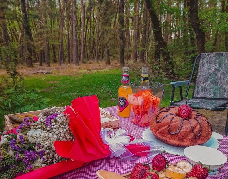 Camping in the Gisom Forest. Source: Google Map; Photographer: Seyed Hossein Mousavi