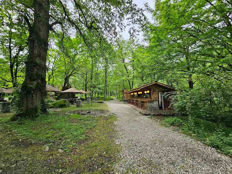 Chaldra Forest Park. Source: Google Map; Photographer: abbas mousavinejad