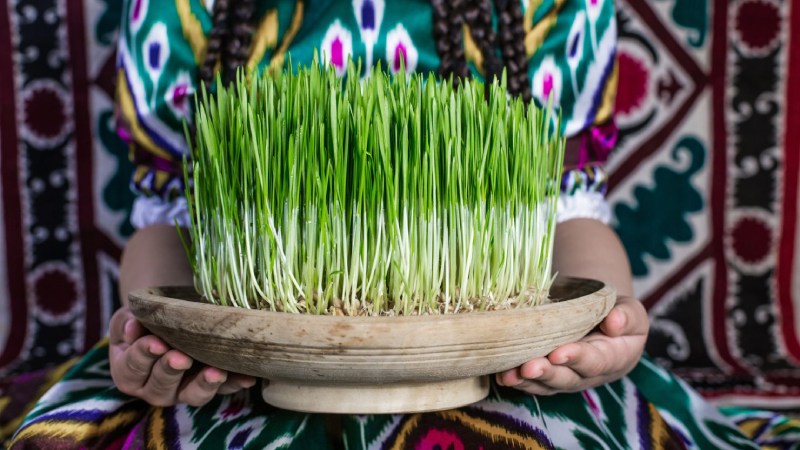Eid vegetable. Source: Edition.cnn.com website; Photographer: Unknown