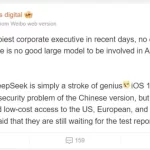 Report about the possibility of using Dip Sik by Apple