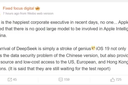 Report about the possibility of using Dip Sik by Apple